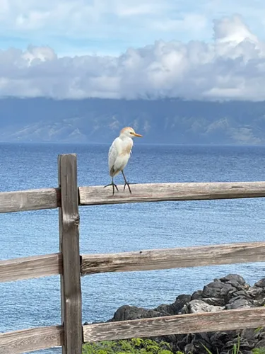 Photo of the Day: King of the Hill